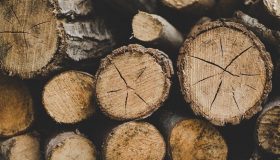 дърводобив