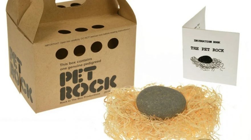 Pet-Rock - Amazon