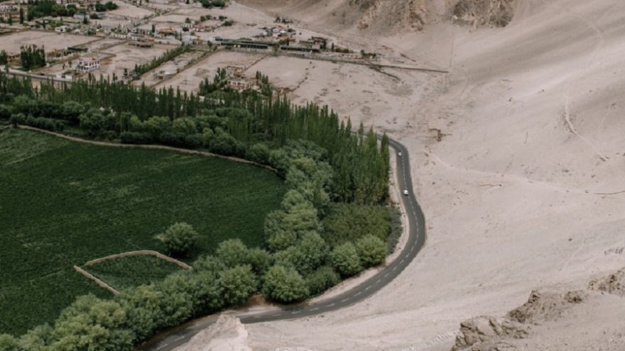 china-desert-to-forest_resize_md