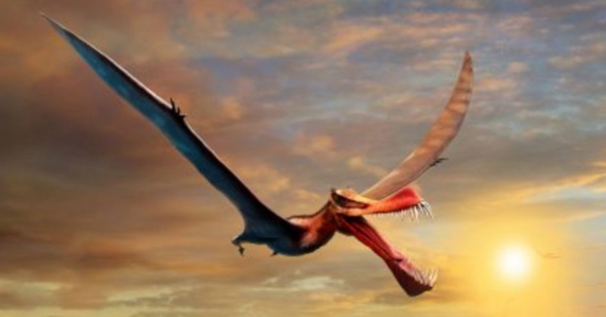 Artistic-reconstruction-of-Thapunngaka-shawi-University-of-Queensland-Media-released