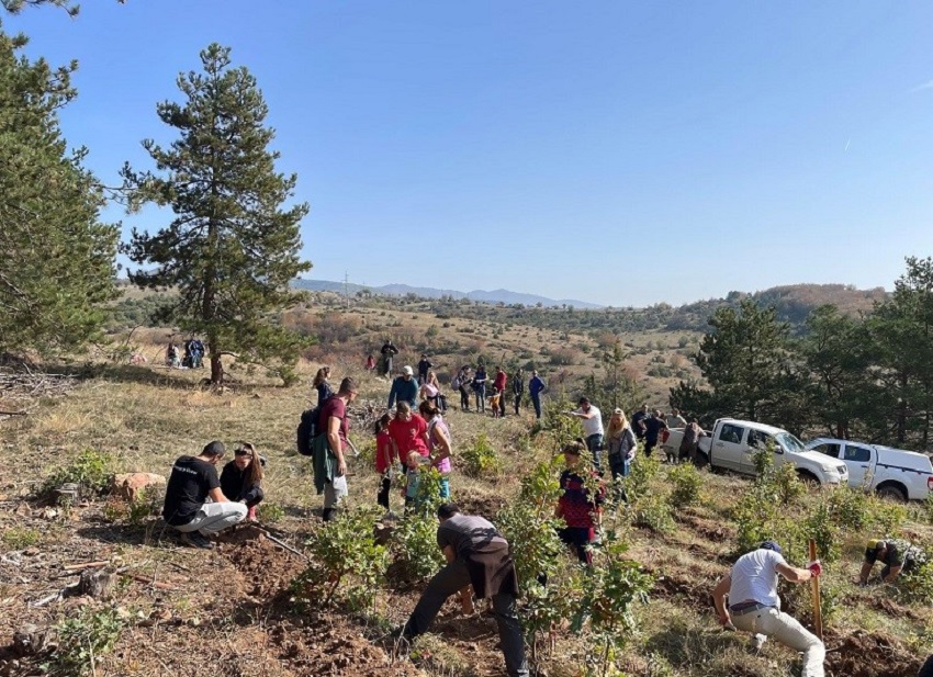Planting trees_pic 2_colleagues