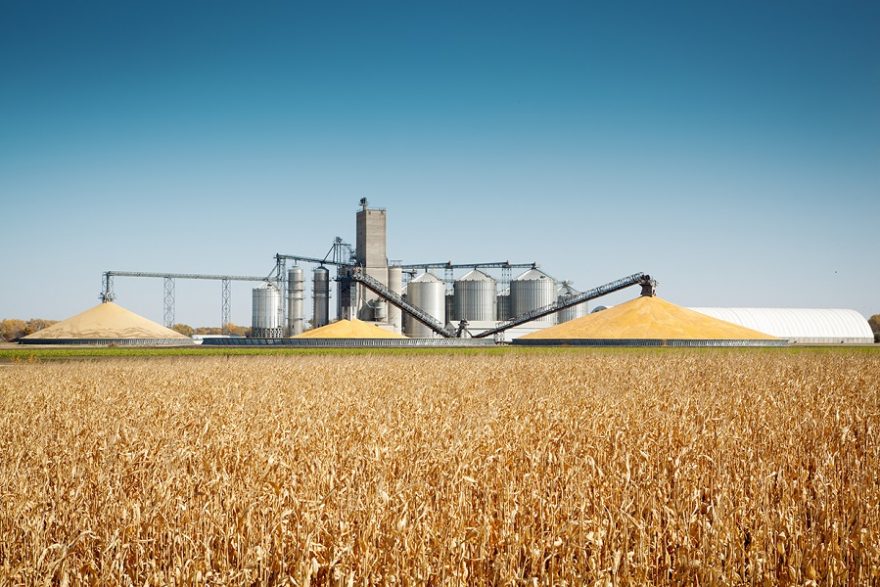 agri-food