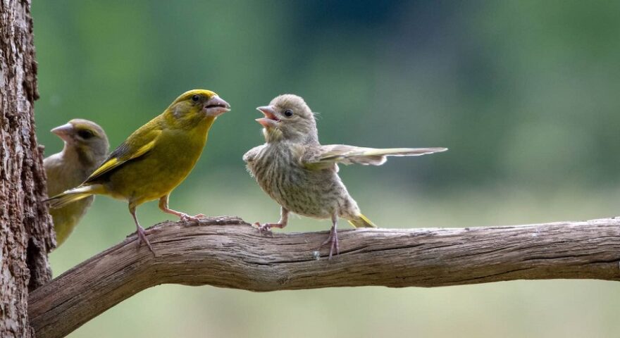 one-time-use-by-Jacek-Stankiewicz-PEOPLES-CHOICE-WINNER