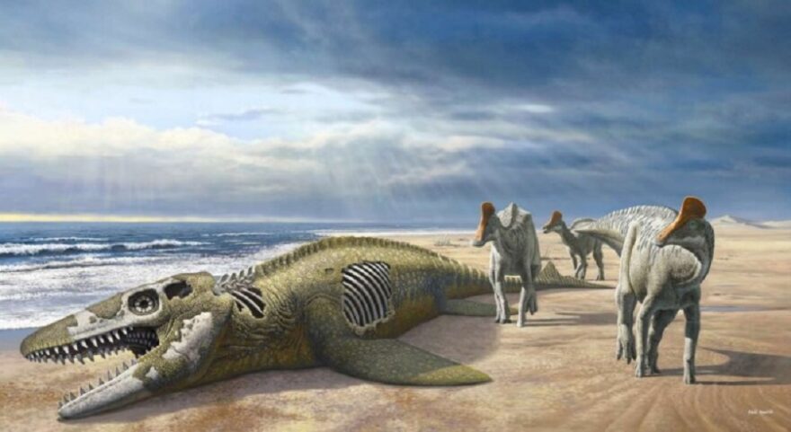 An-artist-impression-of-the-duckbills-arriving-on-the-shores-of-Africa-Dr.-Longrich-et-al-via-SWNS-696x381