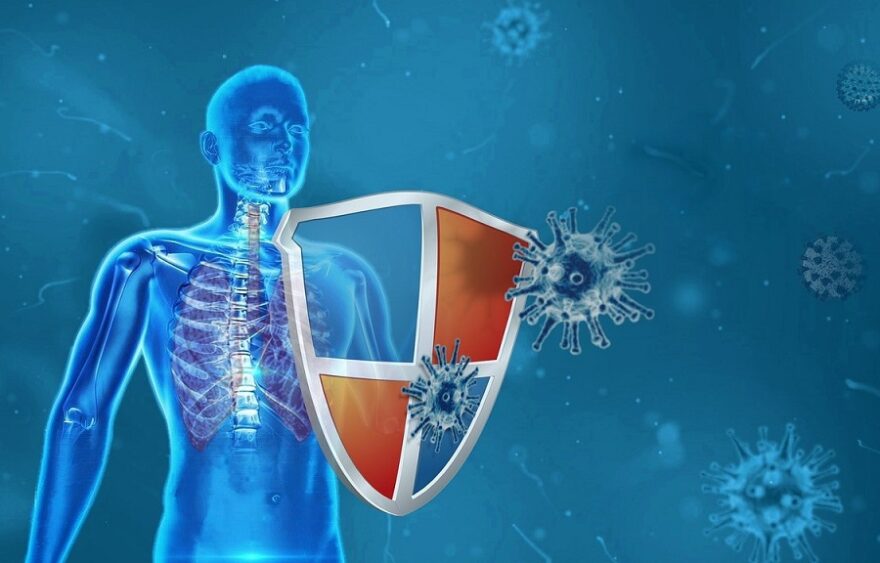lungs-protective-shield-5927519_1280