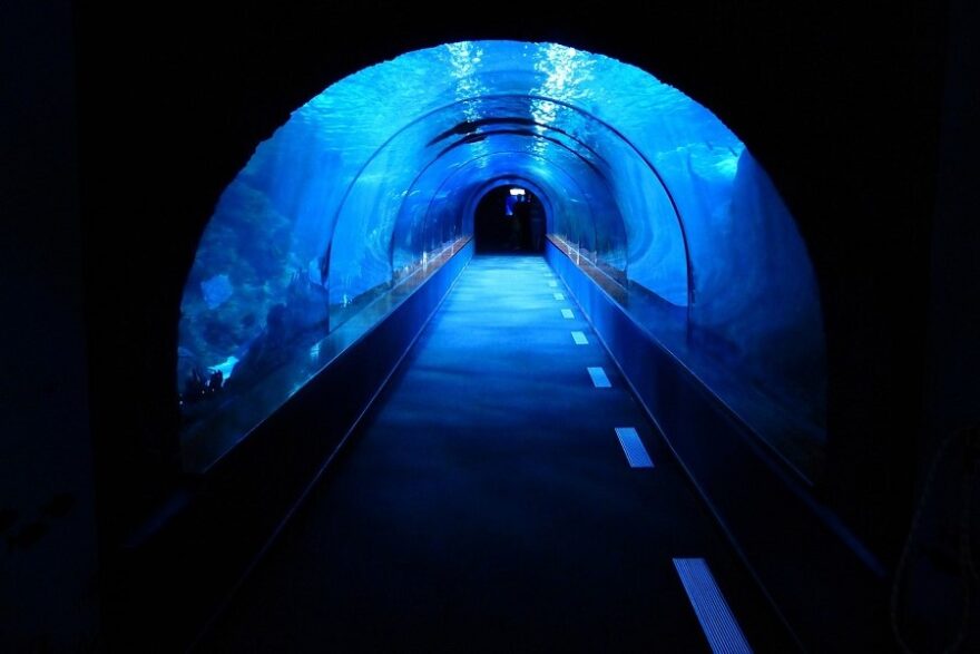 underwater tunnel