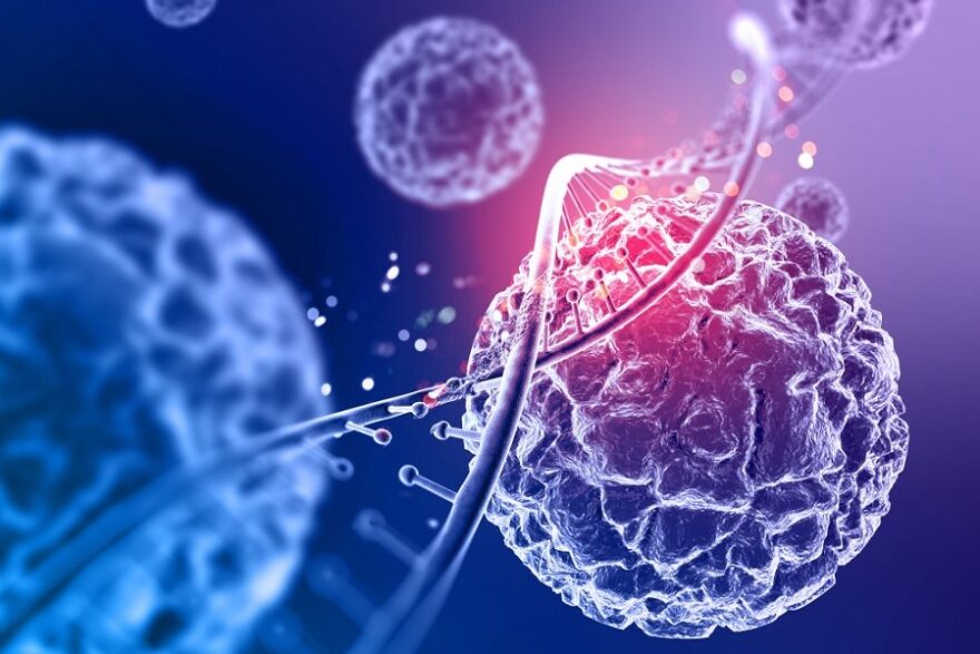 cells