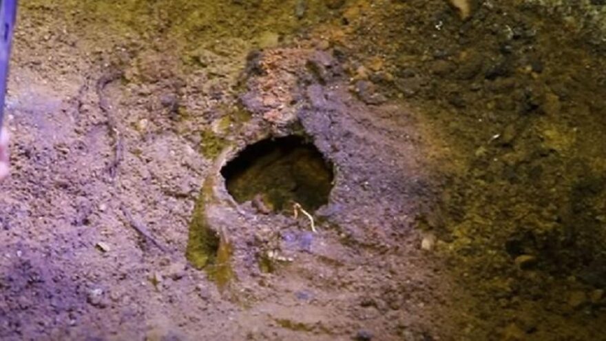 Sk