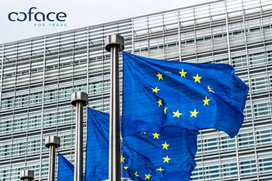Coface_European Elections_Visual