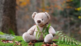 плюшено мече