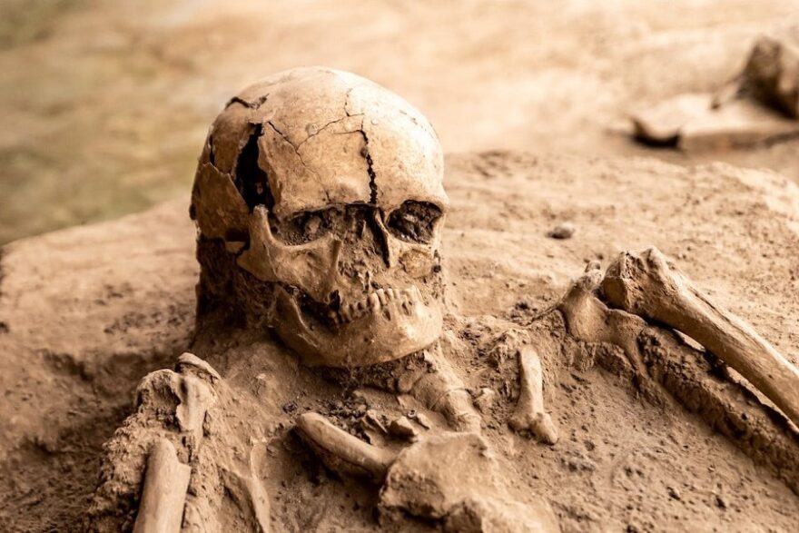 skull
