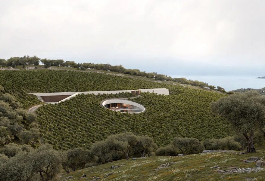 Fotis-Zapantiotis-Winery-in-Aidispos-1