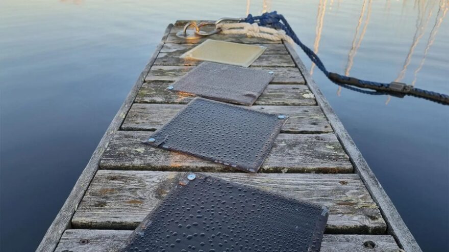 Composite panels made from new bio-resins