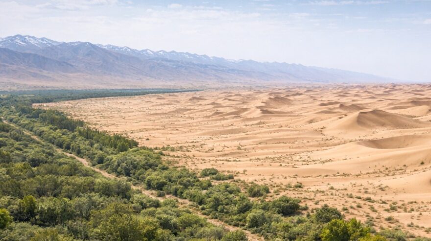 desert
