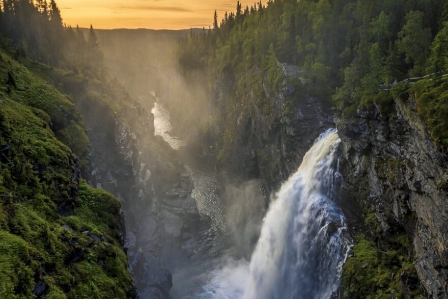 nature