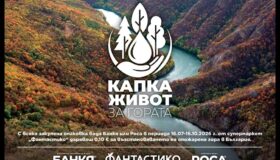 „Капка живот за гората“: 12 000 дървета ще възстановят опожарена местност в Пирин