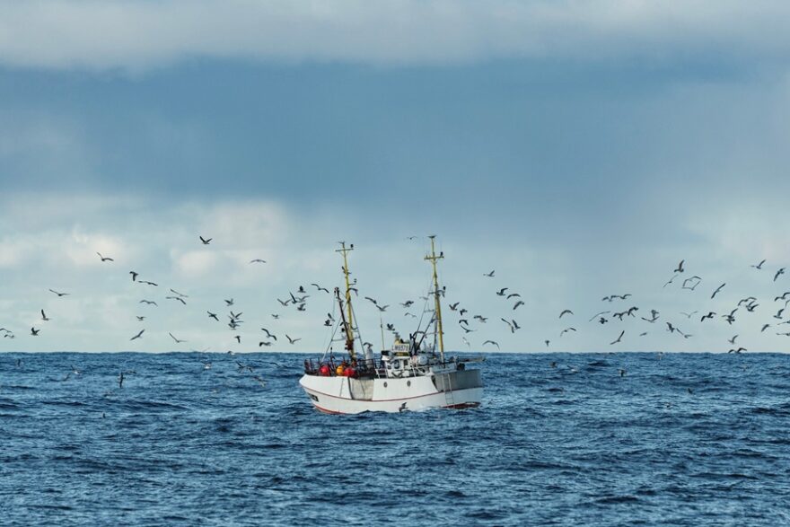 fishing