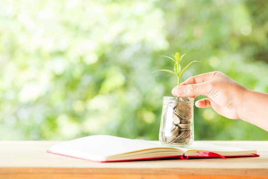 Close-up of a coin jar with a tree